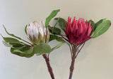 F0160 Artificial Giant King Protea Single Stem 80cmcm White / Dark Pink | ARTISTIC GREENERY