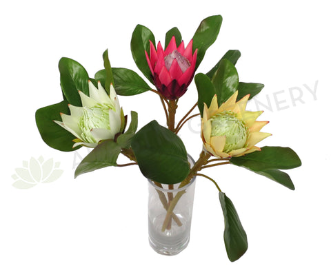 F0160 SML King Protea Single Stem 50cm 5 Colours