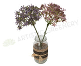 F0167 Star Laceflower 32cm Purple / Pink