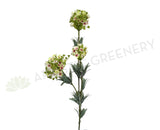 F0180 Wax Flower Cluster Spray 77cm White & Light Green