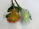 ORANGE & WHITE - F0181 Pincushion Protea Large 70cm