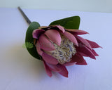 F0183 King Protea Single Stem 68cm Mauve