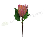 F0183 King Protea Single Stem 68cm Mauve