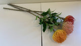 F0185 Pincushion Protea 72cm / Leucospermum  Orange / Pink / Red | ARTISTIC GREENERY