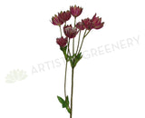 F0193 Astrantia Spray 54cm Plum