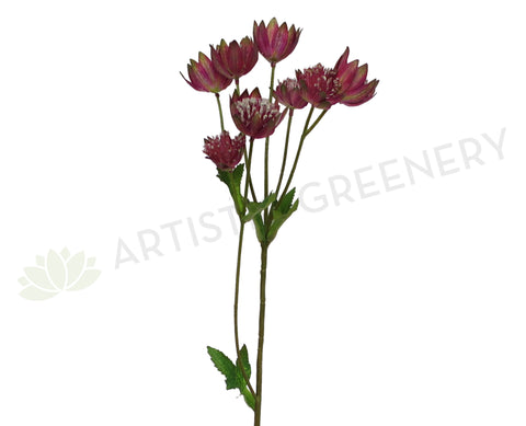 F0193 Astrantia Spray 54cm Plum