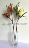 F0218-2 Artificial Doubled Banksia Stem 80cm White / Orange | ARTISTIC GREENERY Perth Austrtalia