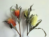 F0218-2 Artificial Doubled Banksia Stem 80cm White / Orange | ARTISTIC GREENERY Perth Austrtalia