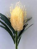 F0218 Banksia Cream