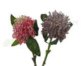 F0220 Waratah Flower 42cm Red / Purple