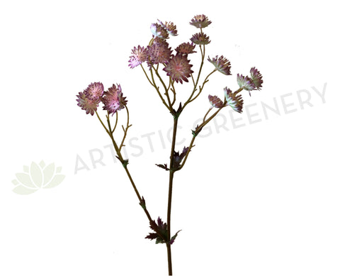 F0225 Astrantia Spray 61cm Pink