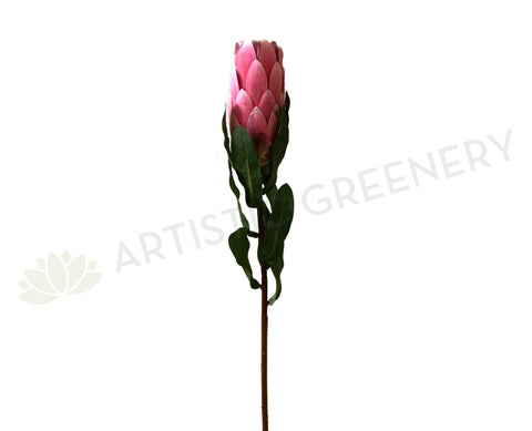 F0227 Mink Protea Bud 50cm Pink