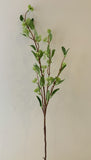 F0240 Skmmia Spray 100cm Green