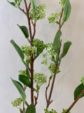 F0240 Skmmia Spray 100cm Green