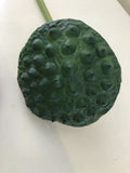 F0258 Lotus Pod 84cm Green / F0259 Water Lily Bud (Pink) 93cm