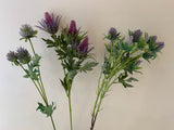 F0292 F0294 F0295 Eryngium Thistles / Sea Holly 61-68cm Purple