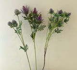 F0292 F0294 F0295 Eryngium Thistles / Sea Holly 61-68cm Purple