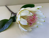 F0302 Protea Stem 65cm Red / White