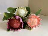 F0320 Silk King Protea Single Stem 65cm 3 Colours | ARTISTIC GREENERY
