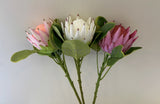 F0320 Silk King Protea Single Stem 65cm 3 Colours | ARTISTIC GREENERY