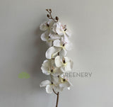 F0348 Silk Phalaenopsis Orchid Spray (Autumn Style) 101cm White | ARTISTIC GREENERY