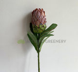 F0349 Artificial Protea Neriifolia Single Stem 74cm Light Brown silk native flowers OZ Australia Perth WA | ARTISTIC GREENERY