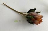 F0350 Silk King Protea 55cm Light Brown | ARTISTIC GREENERY