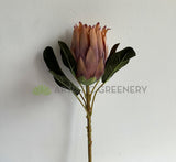 F0350 Silk King Protea 55cm Light Brown | ARTISTIC GREENERY