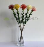 F0360 Artificial Pincushion Protea with Leaves / Leucospermum 61cm 5 Colours | ARTISTIC GREENERY