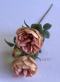 F0378 Silk Rustic David Austin Rose Spray 56cm Cream / Pink | ARTISTIC GREENERY