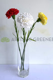 F0386 Single Stem Carnation 50cm Real Touch Quality 3 Colours | ARTISTIC GREENERY AUSTRALIA