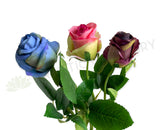 F0417 Silk Single Rose Stem 39cm Blue / Pink / Purple (SPECIAL) | ARTISTIC GREENERY