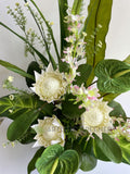 FA1072W - Protea Sugarbushes & Anthuriums Floral Arrangement 80cm Tall | ARTISTIC GREENERY