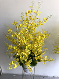FA1078 - Dancing-Lady Orchid Arrangement (100cm Height) Yellow