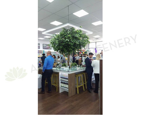 Greg's Chemist Greenfields - Artificial Tree (Display)