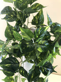 HP0026 Hanging Golden Pothos / Devils Ivy 80cm Real Touch