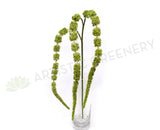 HP0047 Amaranthus / Amaranth 99cm Light Green