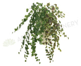 HP0058 Hanging Sycamore 90cm Real Touch 2 Styles