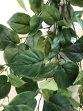 HP0067 Plain Green zoom