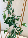 HP0070 Willow Garland 180cm Green | ARTISTIC GREENERY