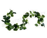 HP0078 Faux Jade Pothos Vines (Garland) 170cm Creeping Plant | ARTISTIC GREENERY