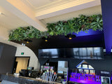 The Court Perth - Greenery Wall (Bulkhead) & Planters Next to Booth Seats