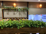 The House Caffe (Alexander Heights) II - Mixture Greenery for Planter Partition | ARTISTIC GREENERY