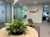 Insight Enterprise - Mixed Artificial Plants for Hanging Baskets & Built-in Planters | ARTISTIC GREENERY