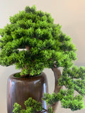 BON001 Artificial High Quality Bonsai / Fake Bonsai 60-70cm Tall Australia | ARTISTIC GREENERY