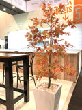 Visit Canberra - Artificial Maple Trees & Plants in Trough for Booth Display