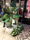 TGI Fridays Whitford- Artificial Plants for Display / Planter Shelves | ARTISTIC GREENERY