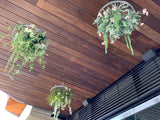 The Shoe Bar Cafe - Hanging Centrepieces & Artificial Plants for Cafe