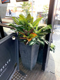 The Shoe Bar Cafe - Hanging Centrepieces & Artificial Plants for Cafe