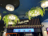 Event Cinema Innaloo - Custom Designed Hanging Greenery | ARTISTIC GREENERY